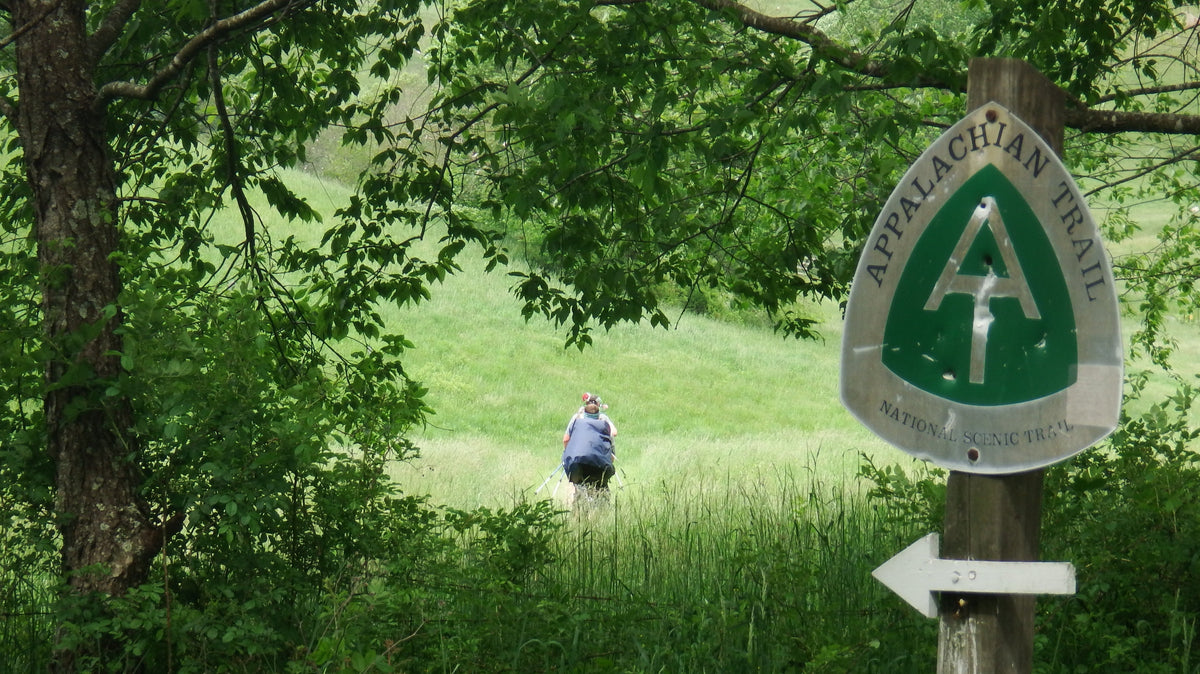 Top 5 birds of the Appalachian Trail