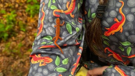 Why We Made It: Red Eft Print
