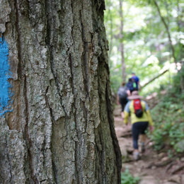 What we want the TownShirt Trail Log to be