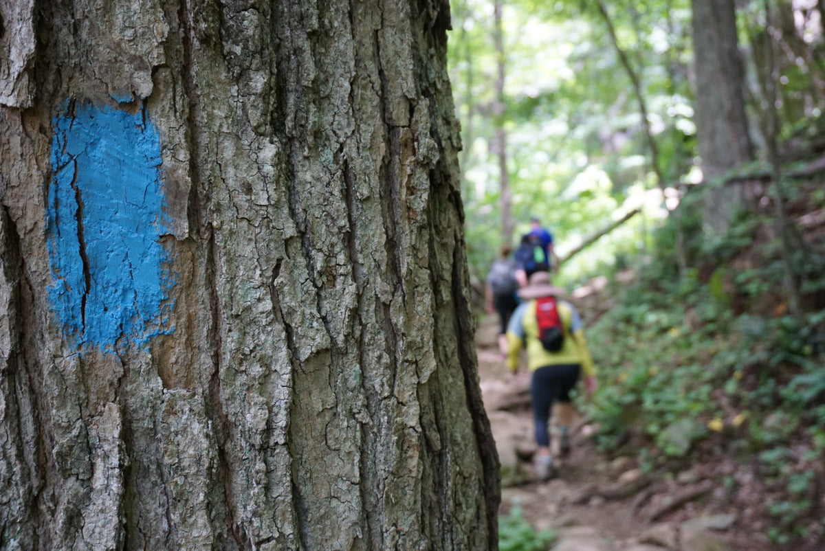 What we want the TownShirt Trail Log to be