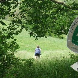 Top 5 birds of the Appalachian Trail