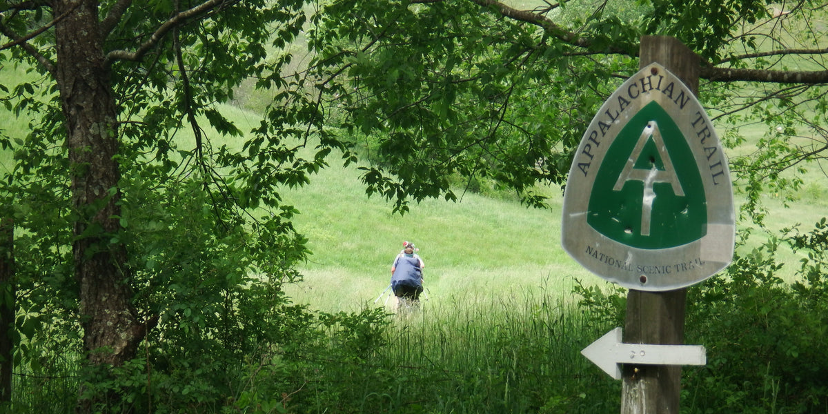 Top 5 birds of the Appalachian Trail