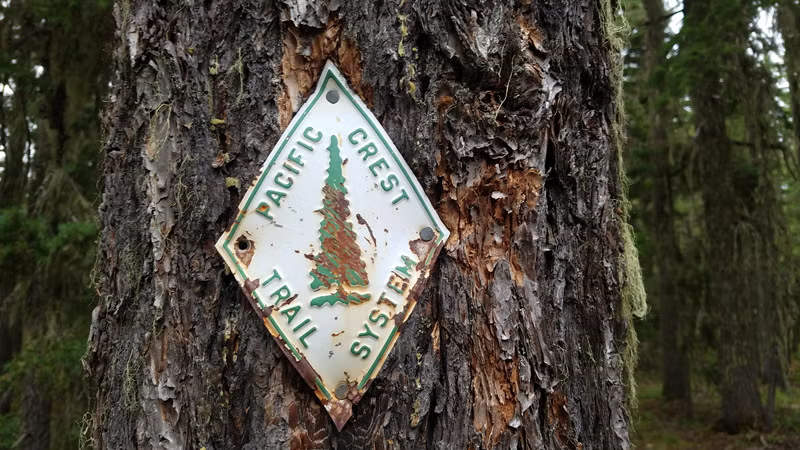 The Pacific Crest Trail